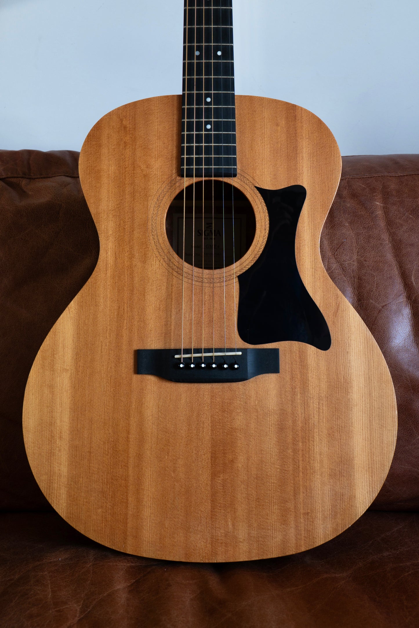 2018 Sigma GME+ | Near New Condition | Manson’s Exeter high quality fully padded and structural soft case