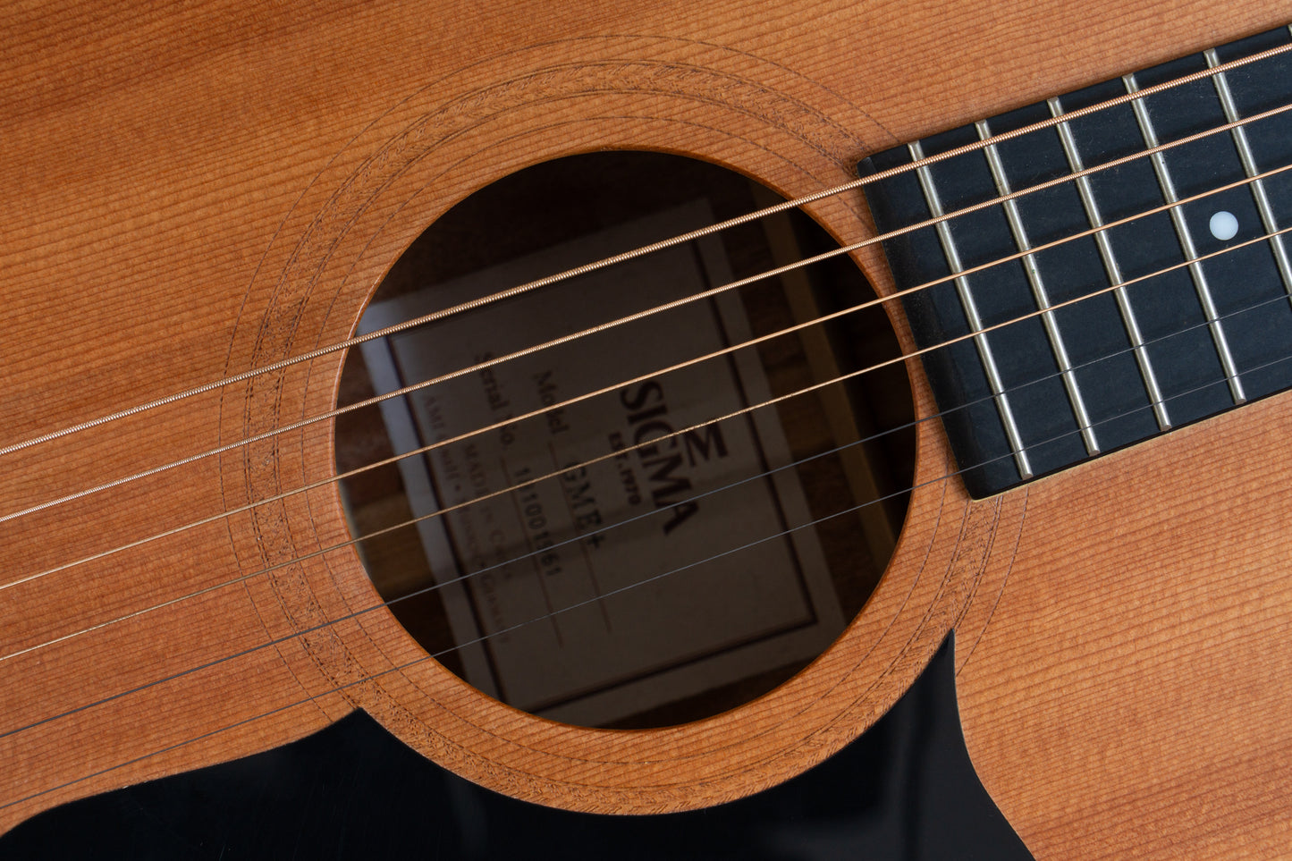 2018 Sigma GME+ | Near New Condition | Manson’s Exeter high quality fully padded and structural soft case